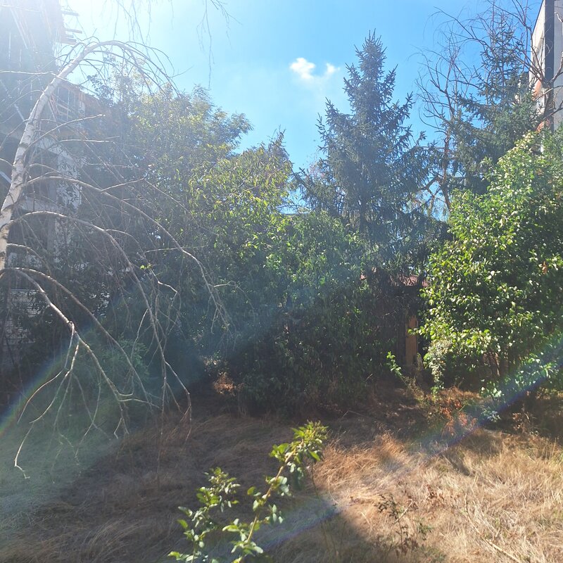 Berceni, Aurel Persu,