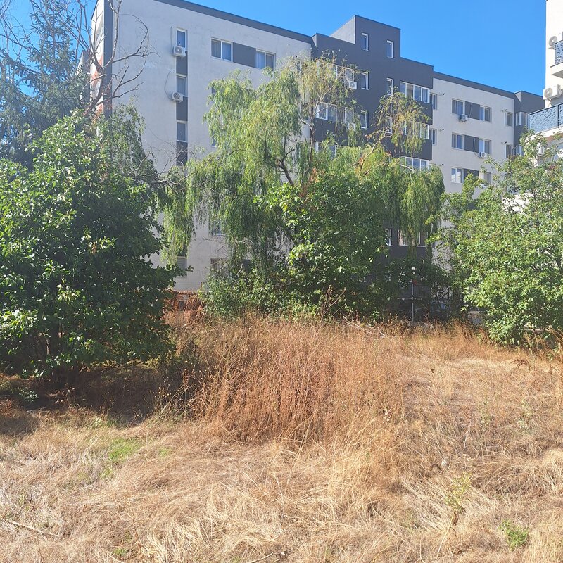 Berceni, Aurel Persu,