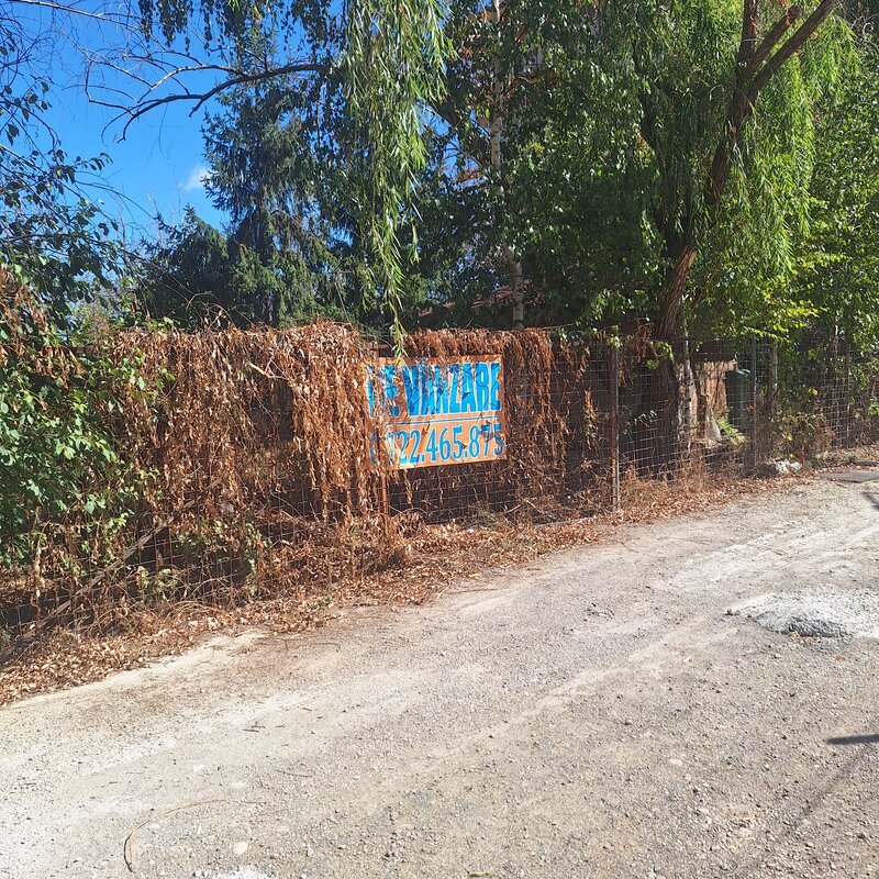 Berceni, Aurel Persu,